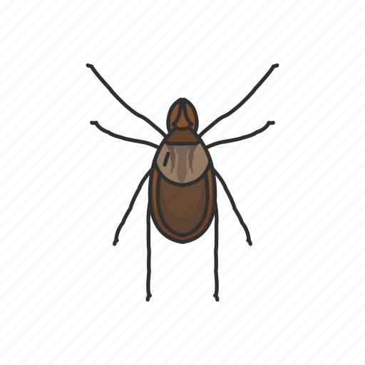 Animal, arachnids, hard tick, insects, parasite, scale tick, tick icon - Download on Iconfinder