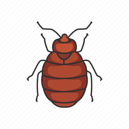 Animal, bed bug, blood-feeding insects, bug, insects, parasite, pest icon - Download on Iconfinder