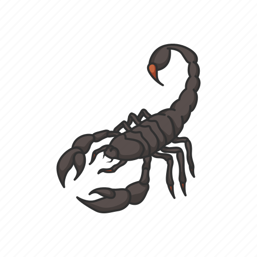 Bloodsucker, fattail scorpion, man killer, scorpion, animal, insect icon - Download on Iconfinder