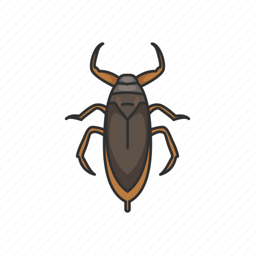 Animal, bug, electric-light-bug, insects, toe-bitters, water bug icon - Download on Iconfinder