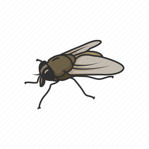 Animal, bloodsucking, gadfly, horse-fly, horsefly, insects, moose fly icon - Download on Iconfinder