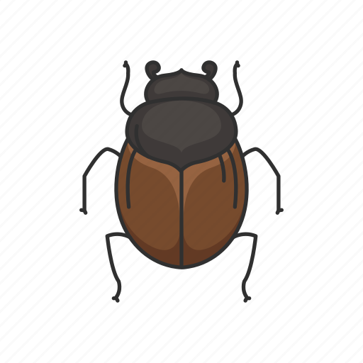 Animal, beetle, dung beetle, dwellers, insects, rollers, tunnelers icon - Download on Iconfinder