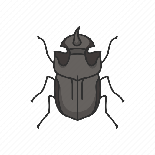Animal, beetle, dung beetle, dwellers, insects icon - Download on Iconfinder