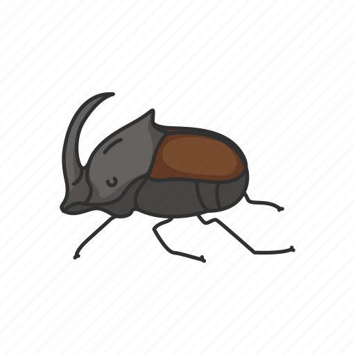 Animal, beetle, dung beetle, dwellers, insects, hercules bettle icon - Download on Iconfinder