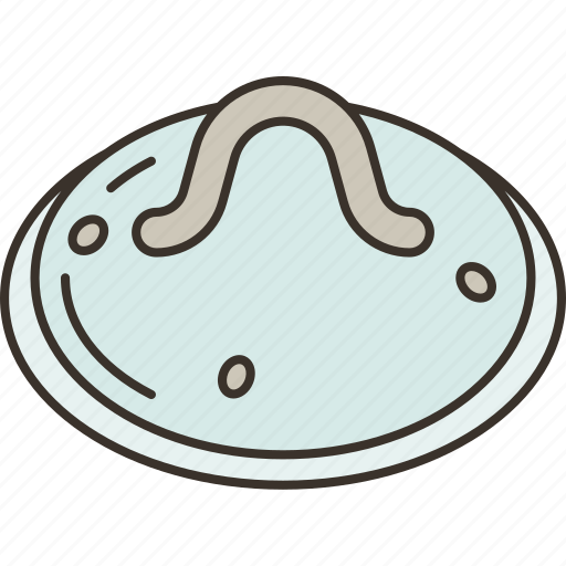 Lid, glass, tempered, seals, steaming icon - Download on Iconfinder