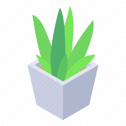 Home plant, potted plant, houseplant, interior, nature icon - Download on Iconfinder