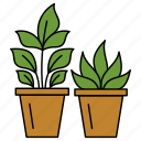 flower pot, plant, plant pot, leaf, greenery