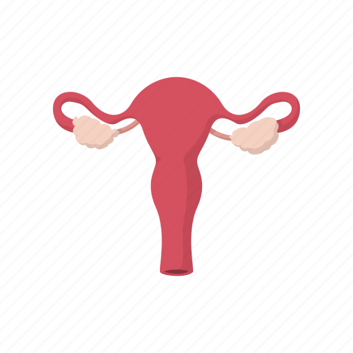 Cartoon, cervix, female, medical, ovary, uterus, vagina icon - Download on Iconfinder