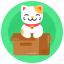 cat parcel, new cat, cat package, cat box, cute cat 