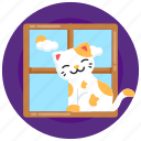 cat, kitten, animal, happy cat, cat on window
