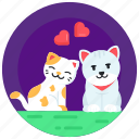 kittens love, cat couple, cat spouse, lovely cats, pets