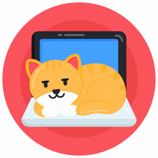 Cat laptop, pet laptop, kitten laptop, pet, cat sitting icon - Download on Iconfinder