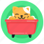 cat bath, cat bathtub, cat shower, pet bath, animal bath 