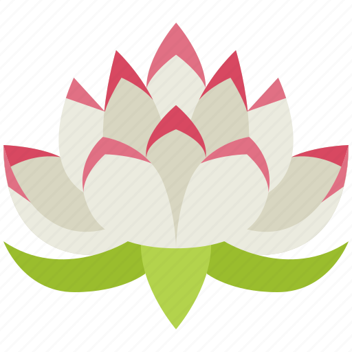 Lotus, flower, yoga, meditation, nature, healthy, relaxation icon - Download on Iconfinder