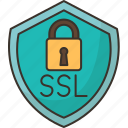 secure, socket, layer, encryption, certificate