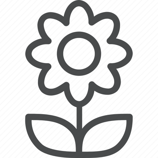 Flower, nature, ecology, environment, floral, garden, spring icon - Download on Iconfinder