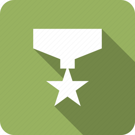 Award, medal, prize, ribbon, star, winner icon - Download on Iconfinder