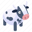 cattle, cow, animal, livestock, bos taurus, \