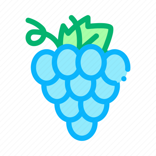Berry, grape, italian, meal, pizza, traditional, wine icon - Download on Iconfinder
