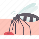 mosquito, bite, itch, disease, insect