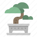 bonsai, botanical, japan, plant, tree