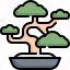 bonsai, environment, japan, leaf, nature, plant, tree 