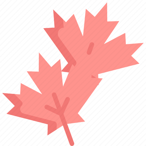 Autumn, japan, japanese, leaves, maple, nature, plant icon - Download on Iconfinder