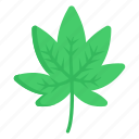 leaf, weed leaf, cannabis, marijuana, plant