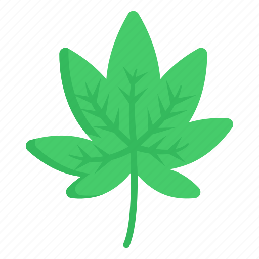 Leaf, weed leaf, cannabis, marijuana, plant icon - Download on Iconfinder