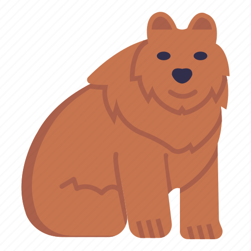 Animal, wild, bear, creature, carnivoran, mammal icon - Download on Iconfinder