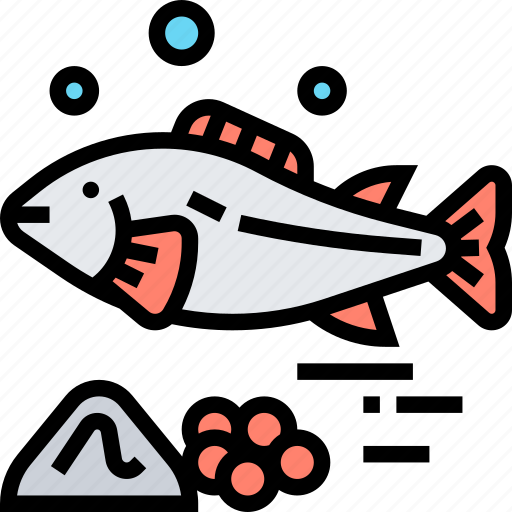 Salmon, fish, trout, seafood, animal icon - Download on Iconfinder