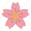 sakura, flower, blossom, spring, nature, plant, japan, japanese, cherry blossom 