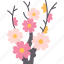 cherry, blossom, branches, floral, spring 