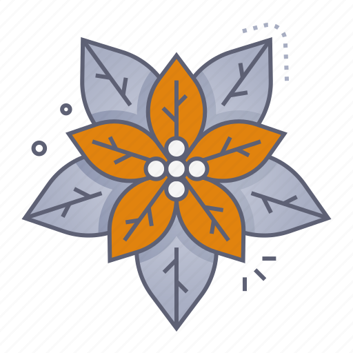 Poinsettia, flower, floral, decoration, ornament, christmas, xmas icon - Download on Iconfinder
