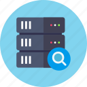 database, search, server