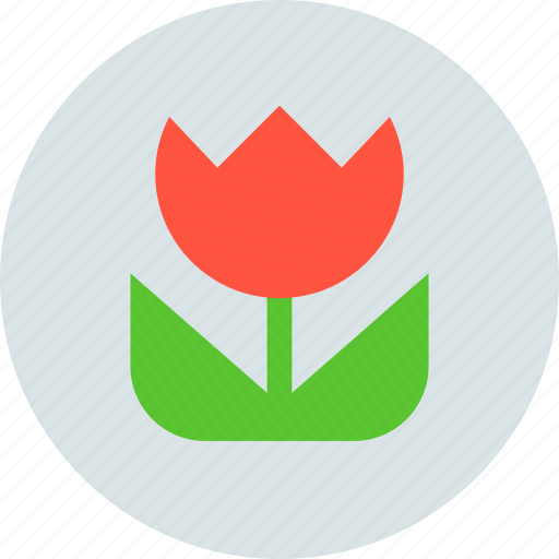 Flower, macro, photo icon - Download on Iconfinder