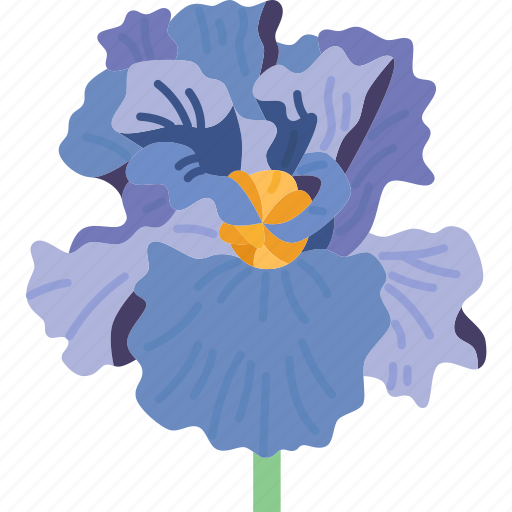 Iris, flower, plant, nature, jordan icon - Download on Iconfinder