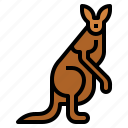kangaroo, animal, mammal, macropus, marsupial