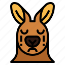 kangaroo, cry, sad, animal, head