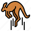 kangaroo, jumping, animal, mammal, macropus 
