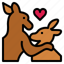 kangaroo, love, couple, animal, mammal