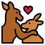 kangaroo, love, couple, animal, mammal 