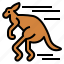 kangaroo, running, animal, mammal, macropus 