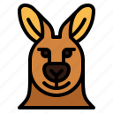 kangaroo, smile, happy, animal, head