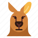 kangaroo, animal, mammal, head, macropus