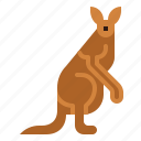 kangaroo, animal, mammal, macropus, marsupial