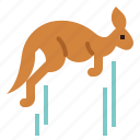 kangaroo, jumping, mammal, macropus, animal
