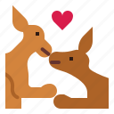 kangaroo, kiss, love, couple, animal