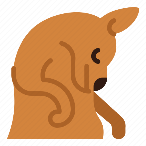 Kangaroo, sleep, animal, mammal, macropus icon - Download on Iconfinder