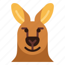 kangaroo, smile, happy, animal, head